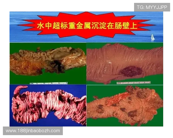 凯发体育网球运动健康与伤病预防专业建议保障运动安全与身体健康