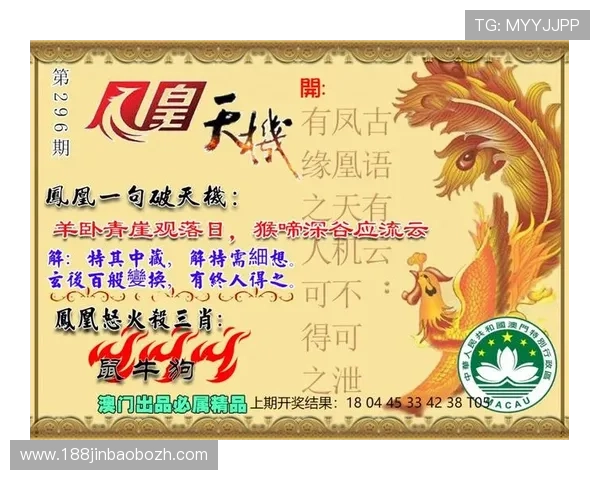 澳门凤凰天机网官网安全可靠的登录指南及账号保护技巧详解